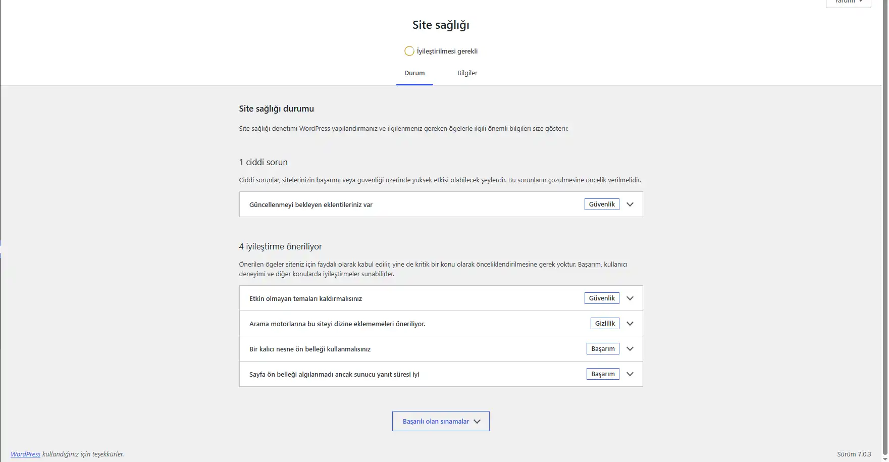 WordPress Site Sağlığı durum ve hata kontrol ekranı