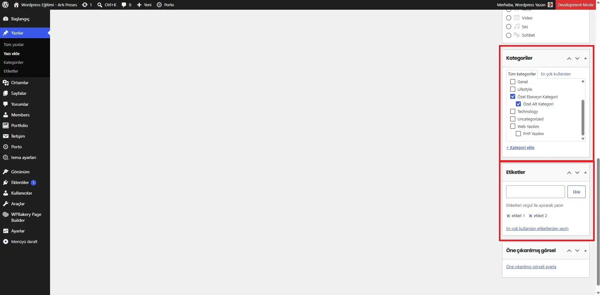 WordPress yazı kategori ve etiket ayarları